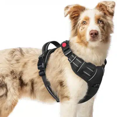 Arnés Ajustable para Perro Antitirones Reflectante con Hebilla de seguridad y Asa