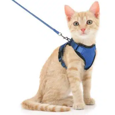 perchera para gatos, ajustable, con correa talla xs para paseos en el exterior.