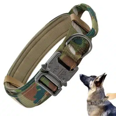 Collar Táctico para Perros Ajustable con Hebilla Metálica